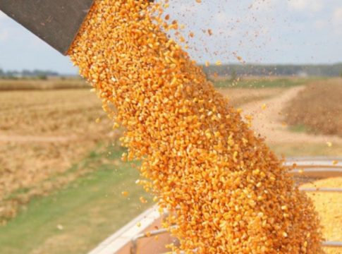 La-guerra-y-los-precios-del-trigo