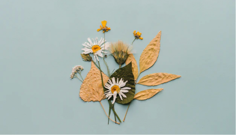 flores secas margarita Merca2.es