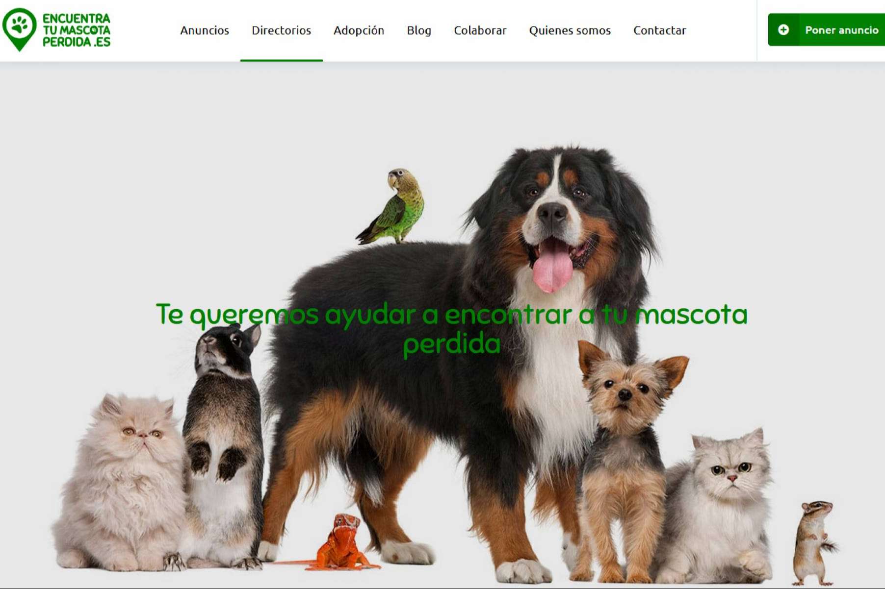 La plataforma especializada Encuentra Tu Mascota Perdida ayuda a encontrar un animal desaparecido