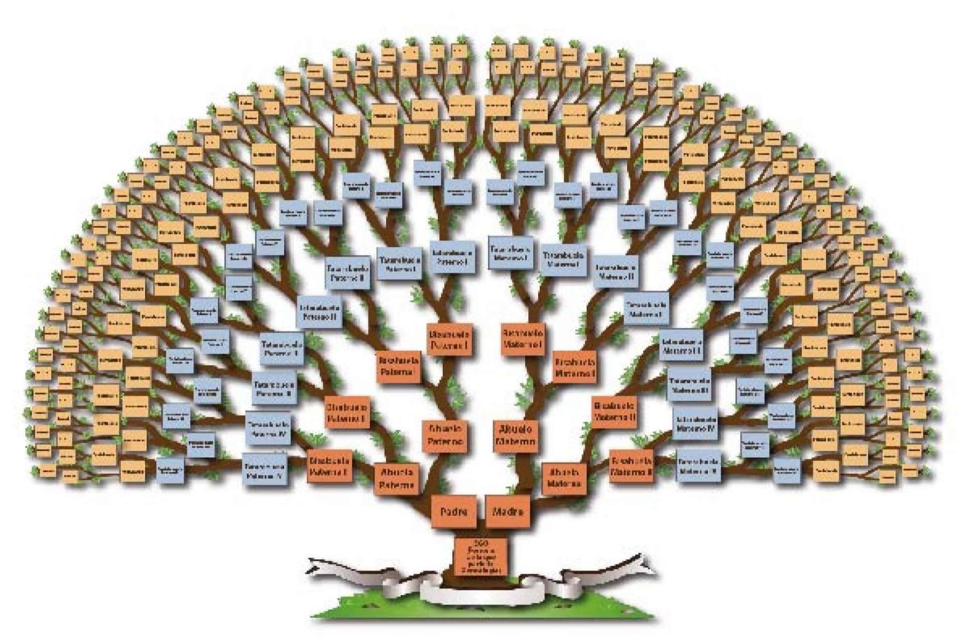 Investigación familiar y genealogía profesional, por el Instituto de Historia Familiar