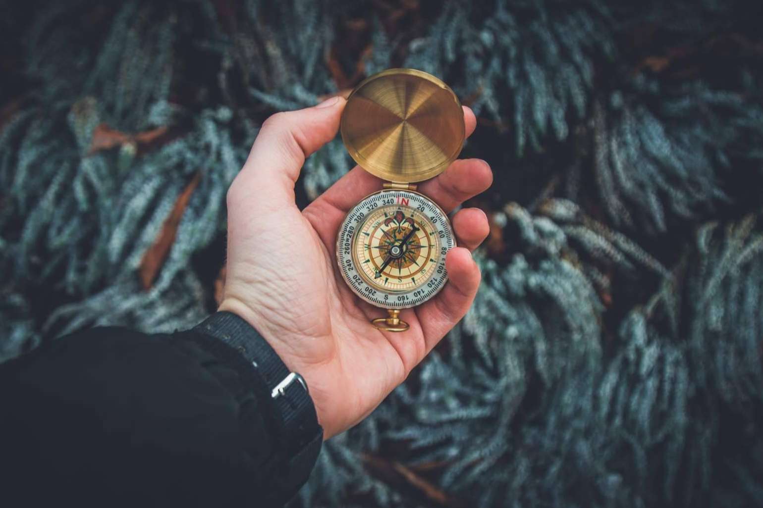 Encontrar el camino correcto para no sentirse desubicado en la vida