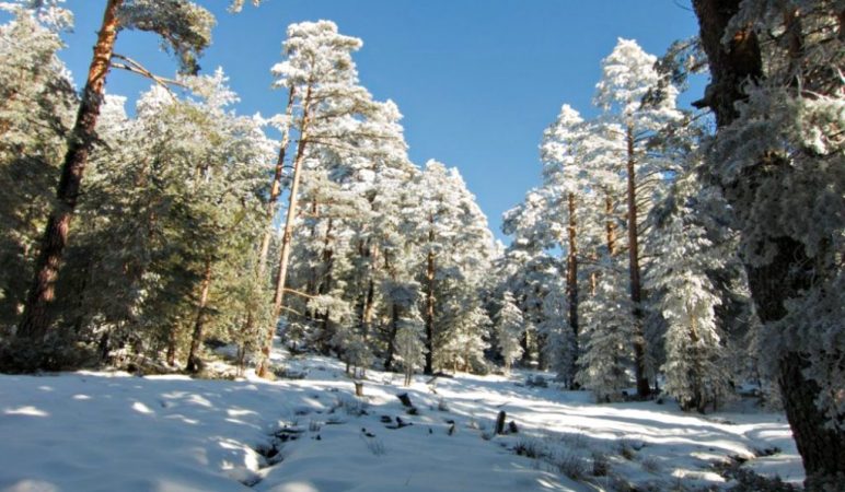 nieve sierra madrid Merca2.es
