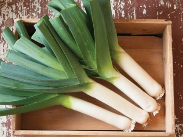 puerro 1200x900 1 Merca2.es