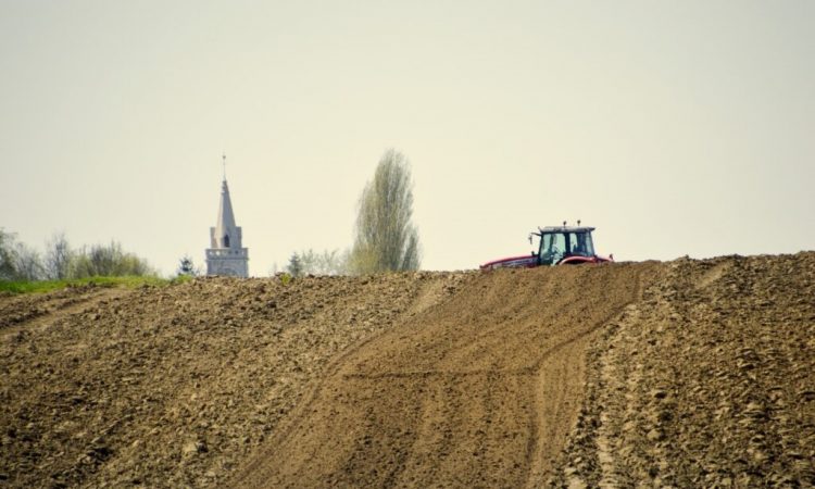 Los nuevos hábitos de vida y la estabilidad de la inversión aumentarán la demanda de fincas rústicas 1 Merca2.es fincas RÚSTICAS