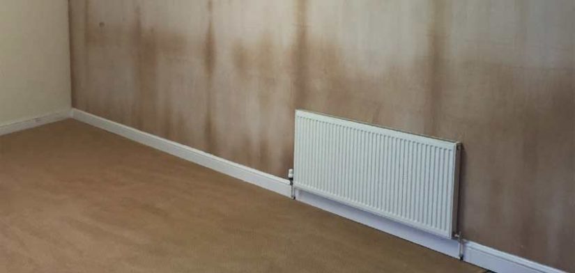 humedades en paredes Merca2.es