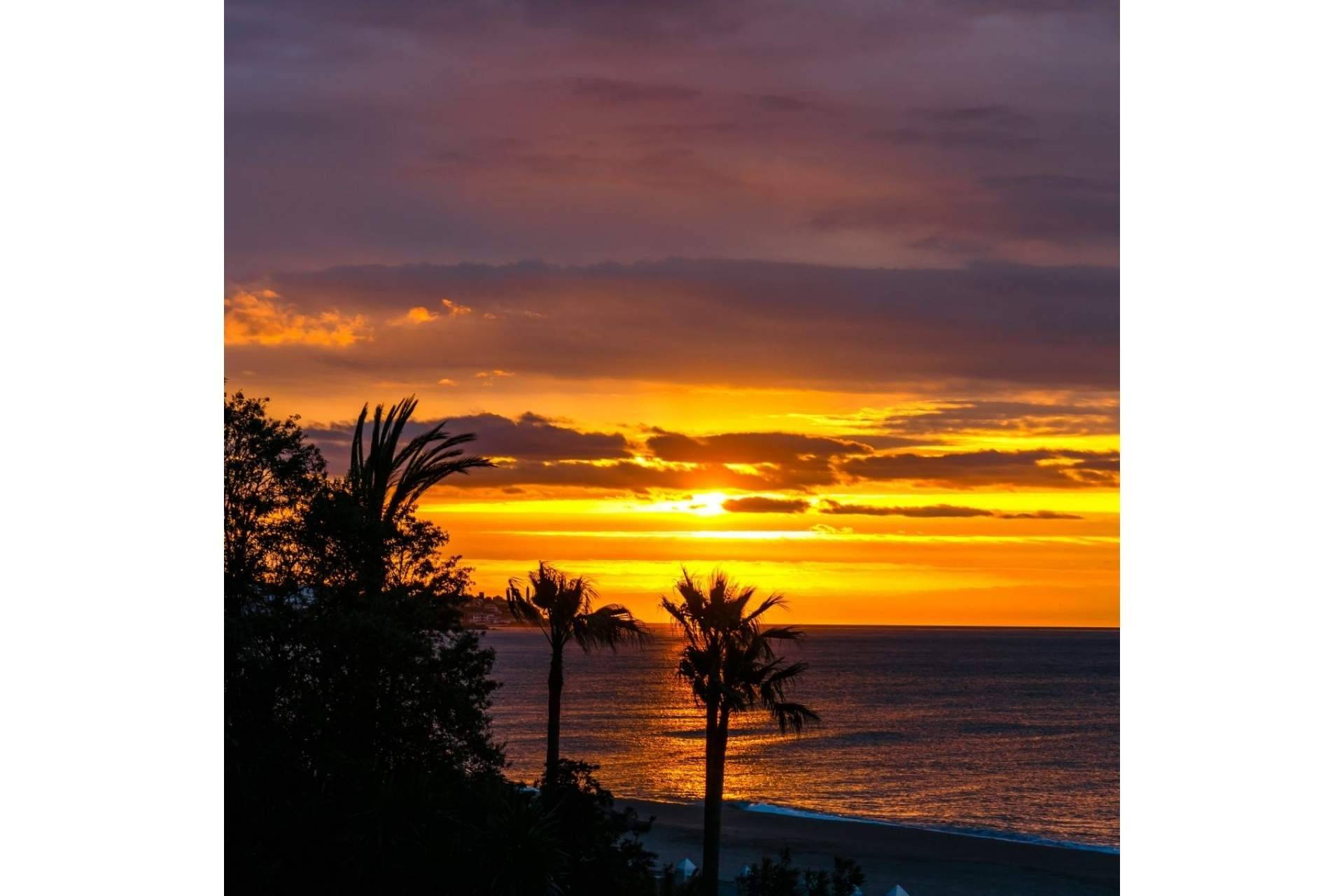 StreaM Flats, la inmobiliaria para encontrar viviendas de ensueño en la Costa del Sol