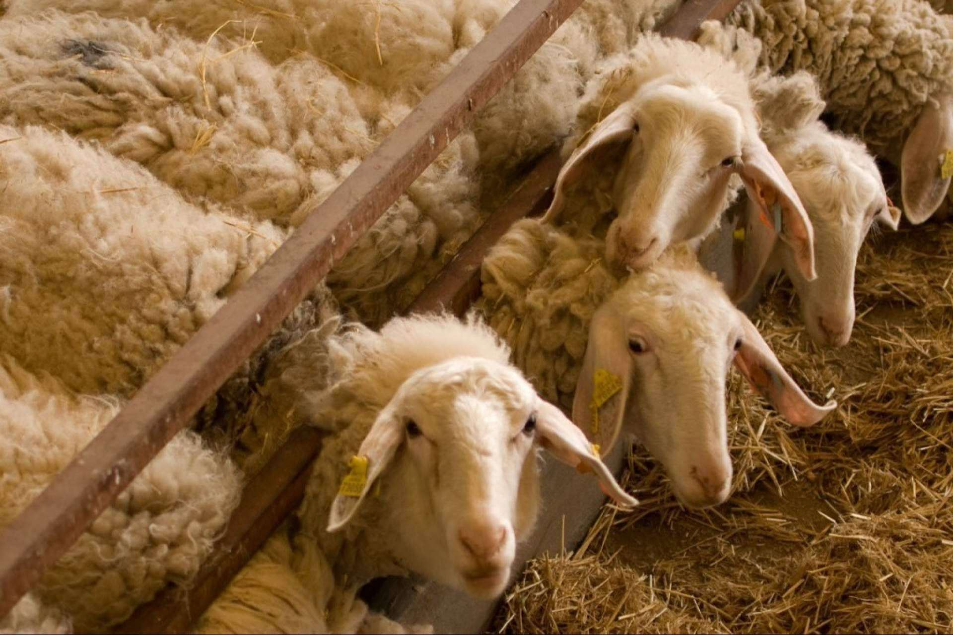 8 planes originales y sostenibles (con y sin niños) para dar la bienvenida a la primavera