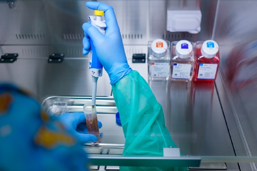 laboratorios