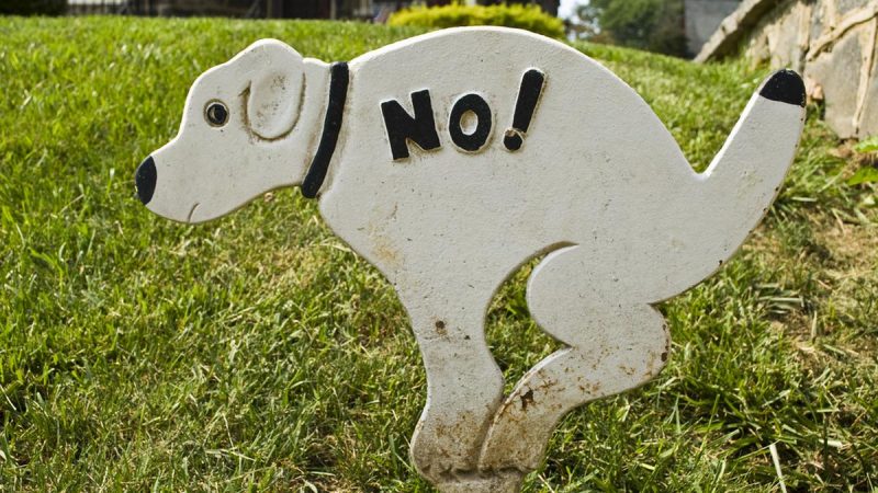 perros figura Merca2.es