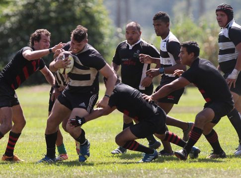 ron Santa Teresa ron Santa Teresa