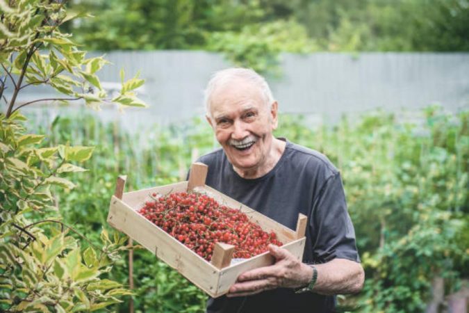 ómo sería una dieta de la longevidad ideal