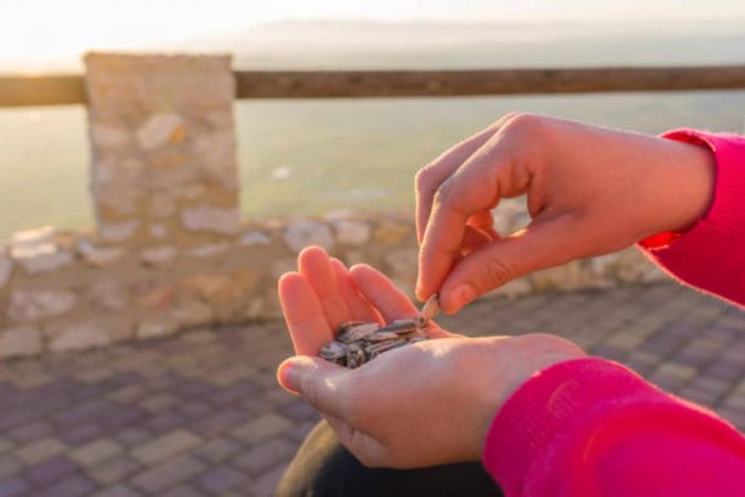 Comer semillas de girasol ayuda a controlar el peso