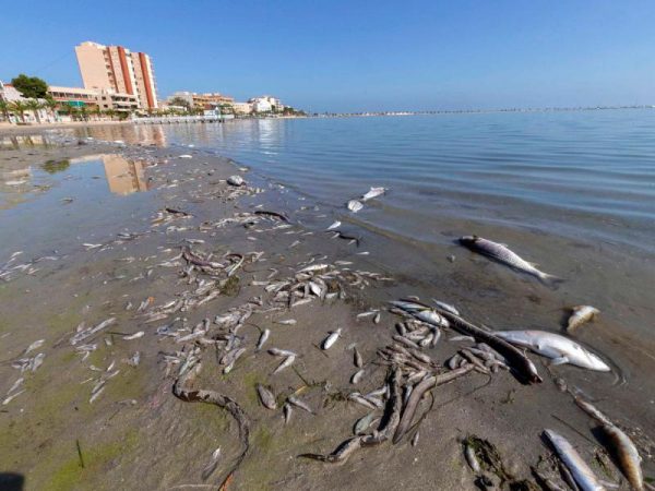 Murcia también tiene playas contaminadas