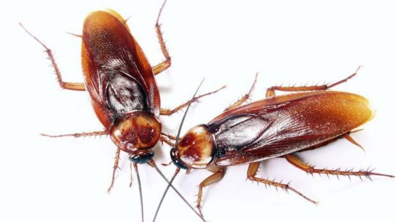 Un gesto de ahorro y cuidado familiar