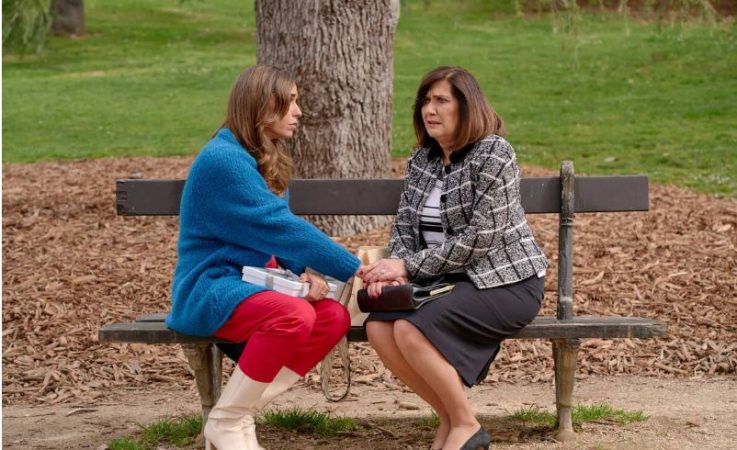 image 1 146 Merca2.es