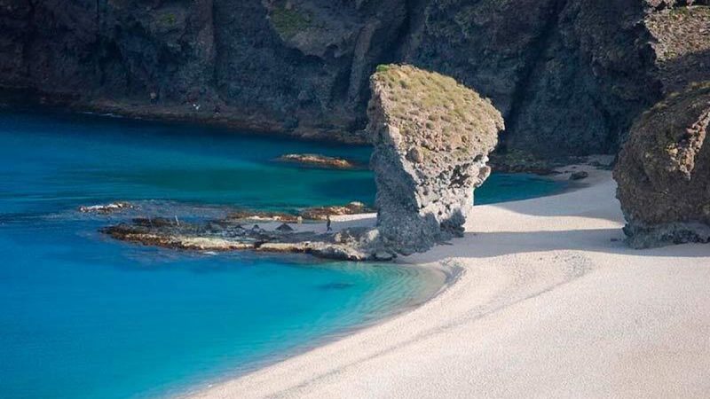 image 1 279 Merca2.es