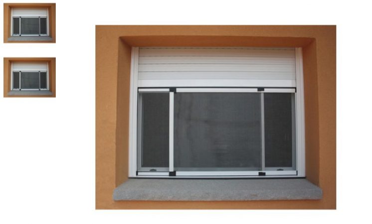 image 3 46 Merca2.es