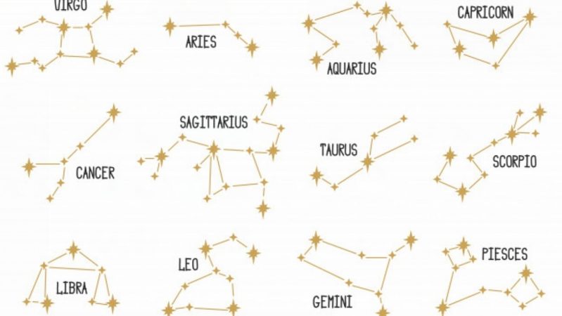 16163719065067 Merca2.es