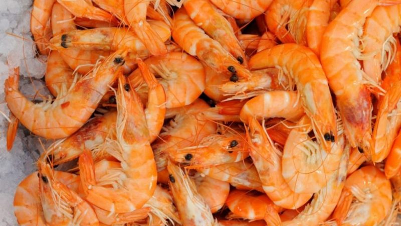 El secreto de Dani García para hacer unas tortillitas de camarones perfectas 64 Merca2.es El secreto de Dani García para hacer unas tortillitas de camarones perfectas