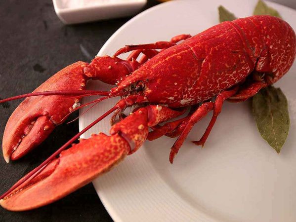 bogavante azul gallego Merca2.es