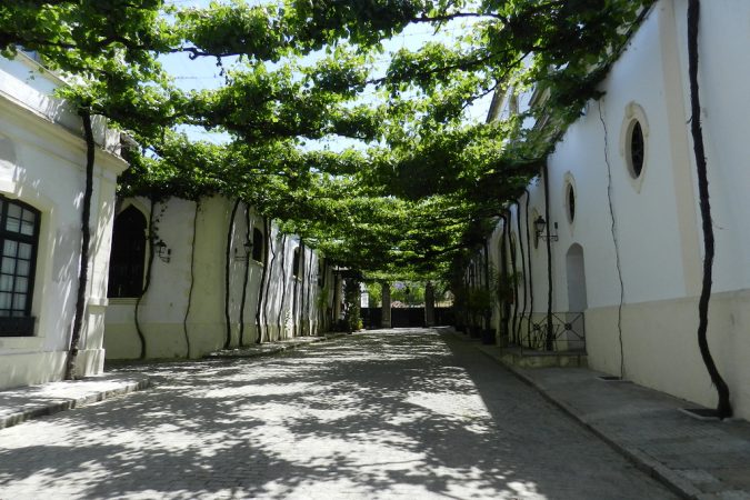 calle ciegos Merca2.es