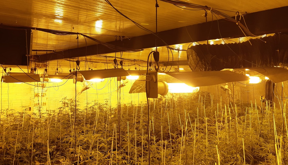 El robo de electricidad por la marihuana equivale al suministro anual de Sevilla