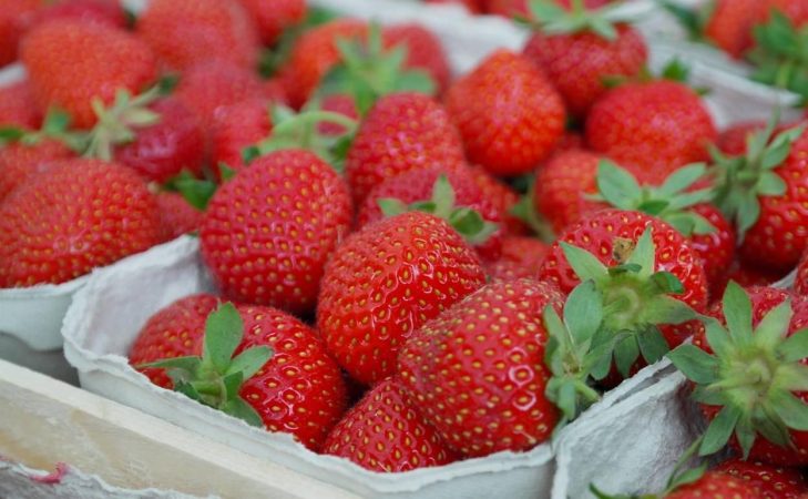 fresas en almíbar