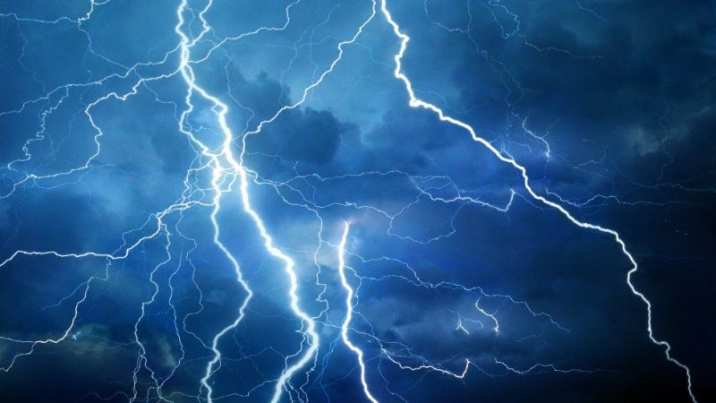 113233634 53287213 Merca2.es