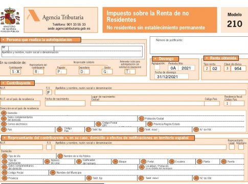 1238761_Modelo_210_2021__IRNR