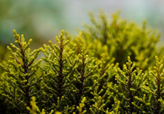 Locura en Aldi tras recuperar uno de sus productos más vendidos 52 Merca2.es Locura en Aldi tras recuperar uno de sus productos más vendidos