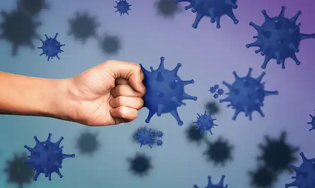 sistema inmunológico