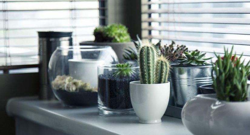 Trucos para que tu casa parezca mucho más grande de lo que es 