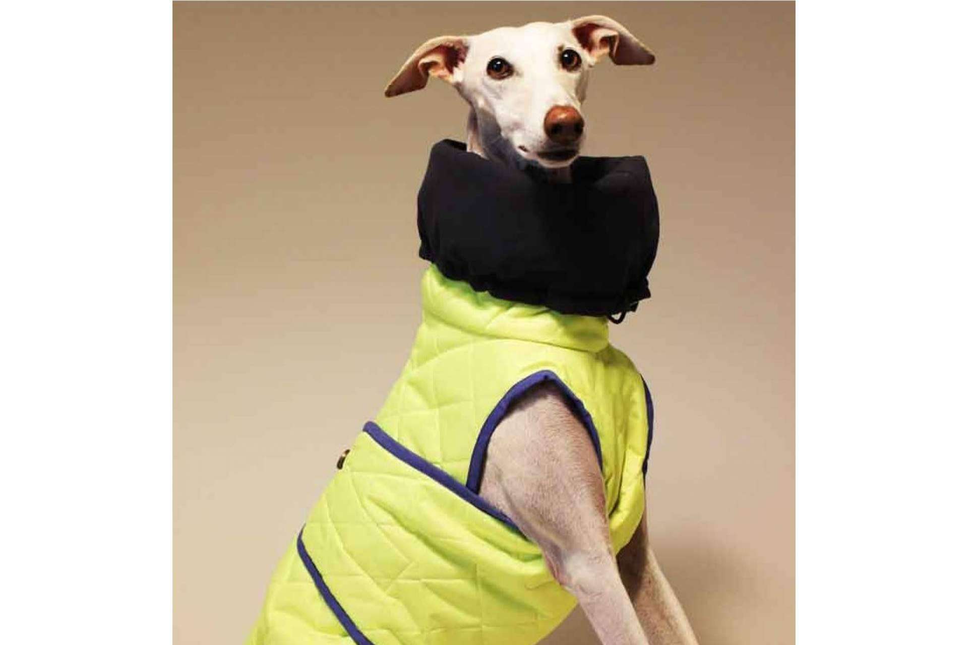 Ropa para mascotas de la mano de Lucas & Lola