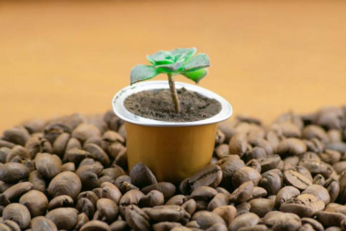 Usos alternativos que le puedes dar a las cápsulas de café 65 Merca2.es Colgadores de plantas pequeñas