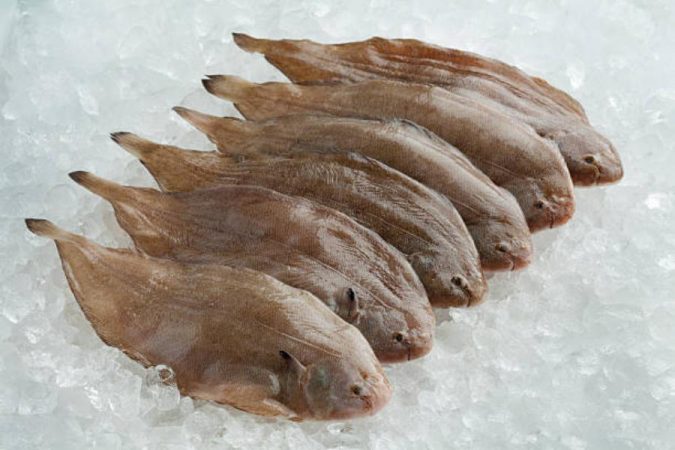 Conservar el lenguado en el freezer