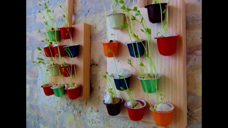 Usos alternativos que le puedes dar a las cápsulas de café 68 Merca2.es Semilleros con cápsulas de café