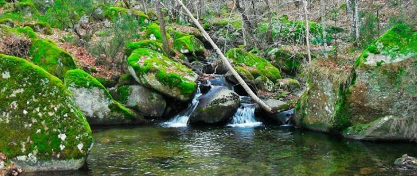 screenshot pongamosquesalespormadrid.wordpress.com 2022.08.10 15 40 06 Merca2.es