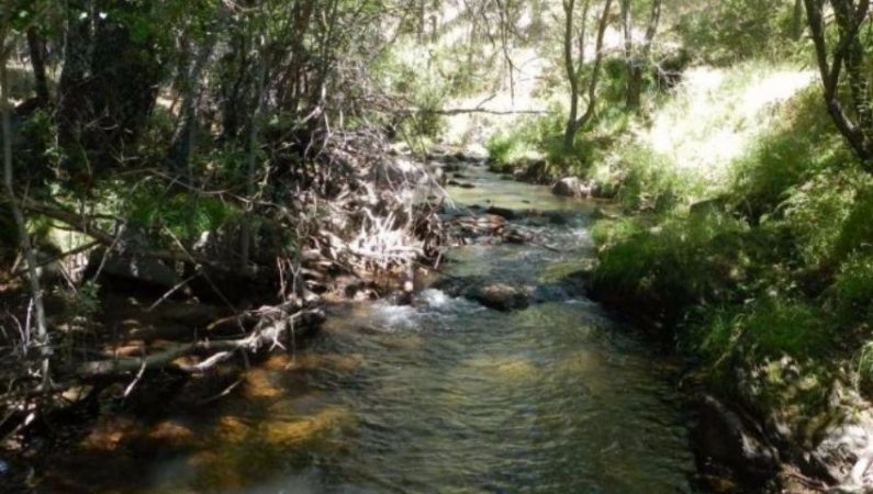 screenshot pongamosquesalespormadrid.wordpress.com 2022.08.10 15 40 51 Merca2.es