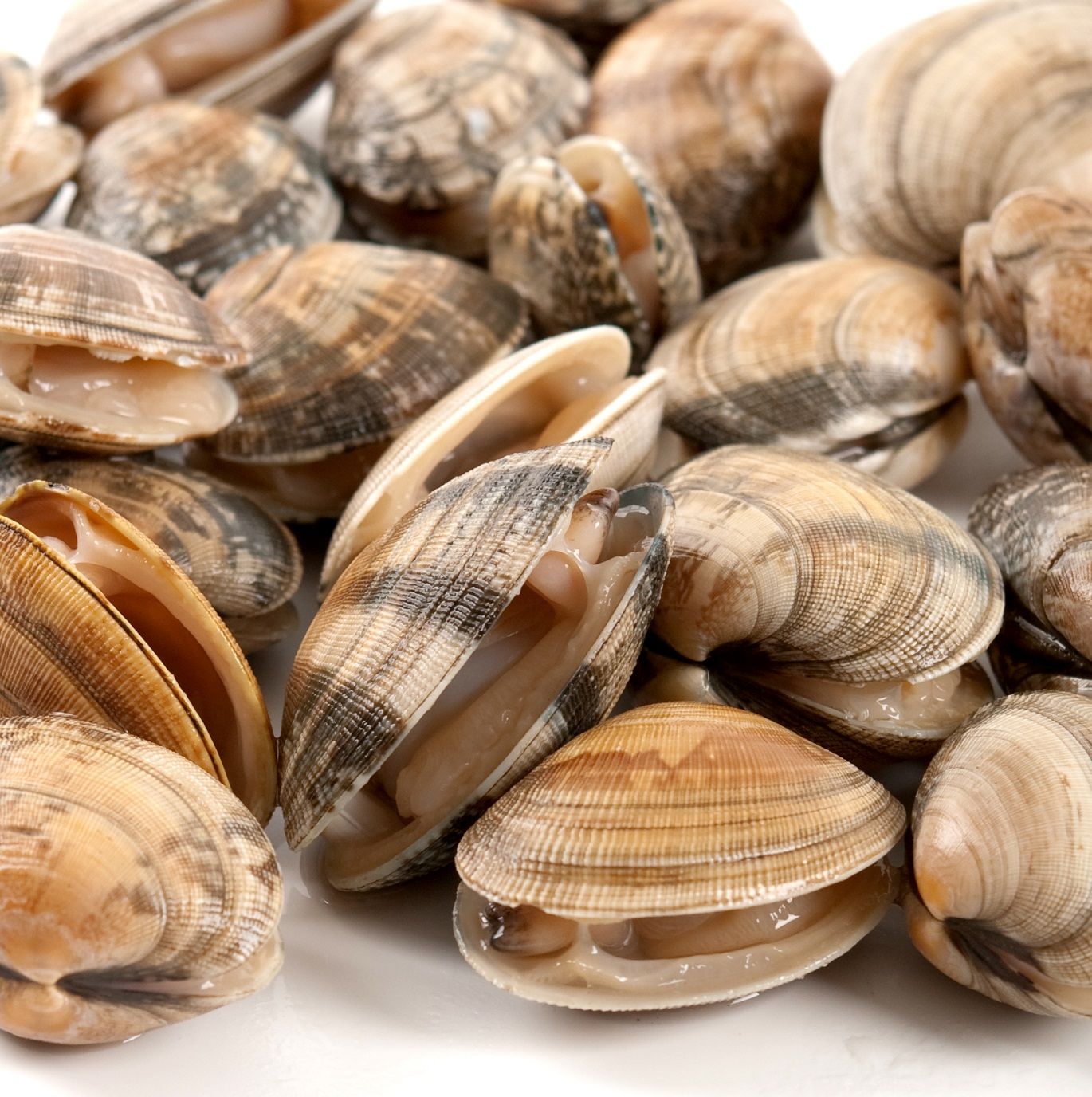 La almeja fina de Corea, idónea para una nutrición postvacacional energética y saludable