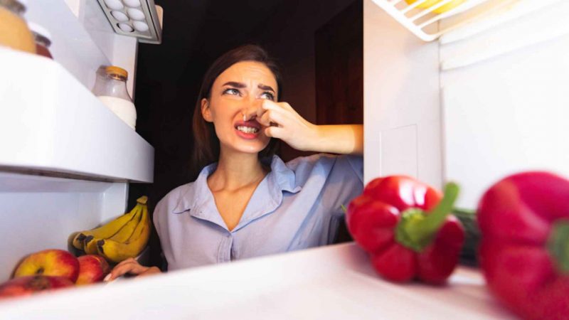 actualidad 515959369 158488289 1706x960 Merca2.es