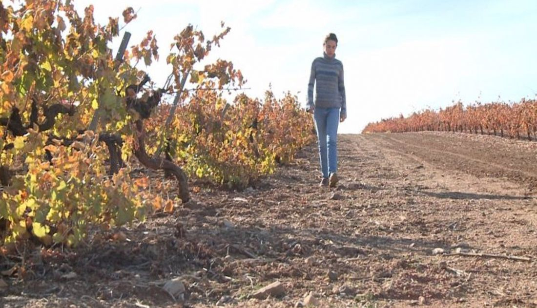 Agroseguro lanza una app para facilitar las gestiones a ganaderos y agricultores