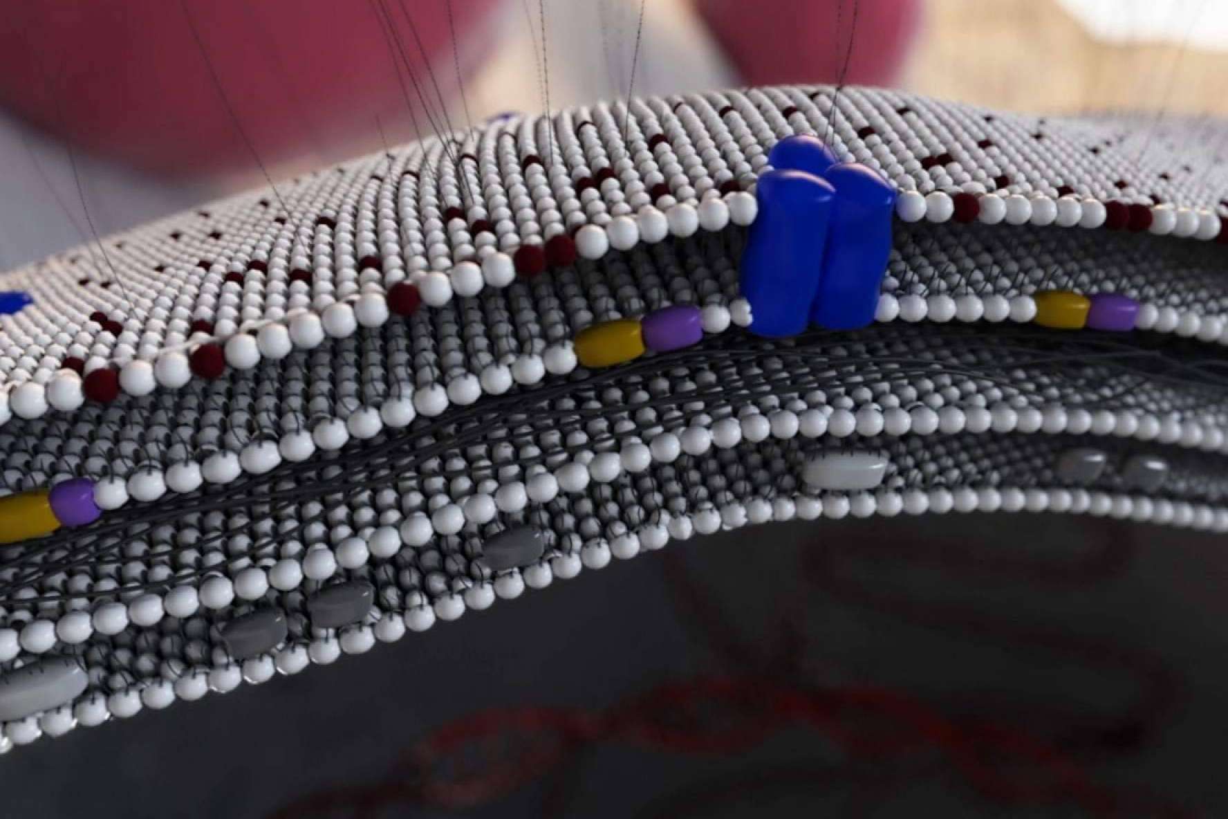 La innovadora propuesta que ofrece Pixeldreams para el sector médico y farma. Animación 3D para medicamentos y MOA’s (Mecanismos de Acción)