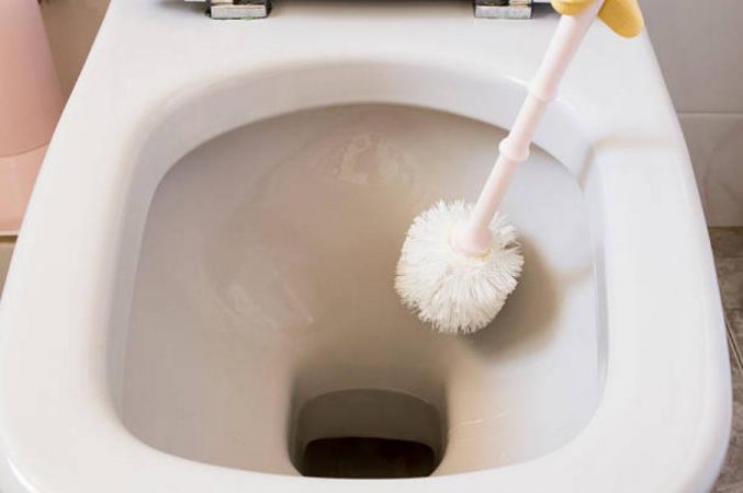 Eliminar las algas que aparecen en la cisterna