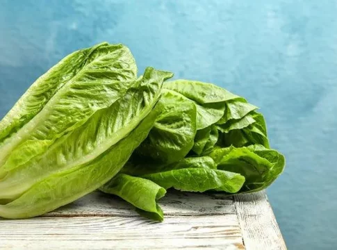 lechuga.jpg
