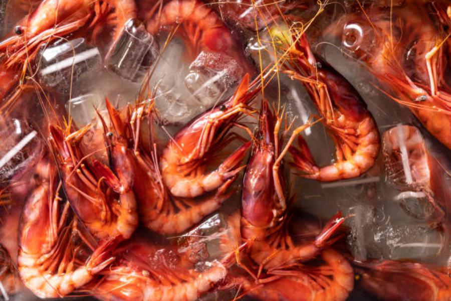 Comprar y conservar langostinos