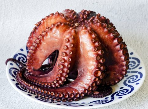 pulpo-gallego-cocido