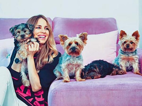 Las publicaciones de Instagram de la actriz