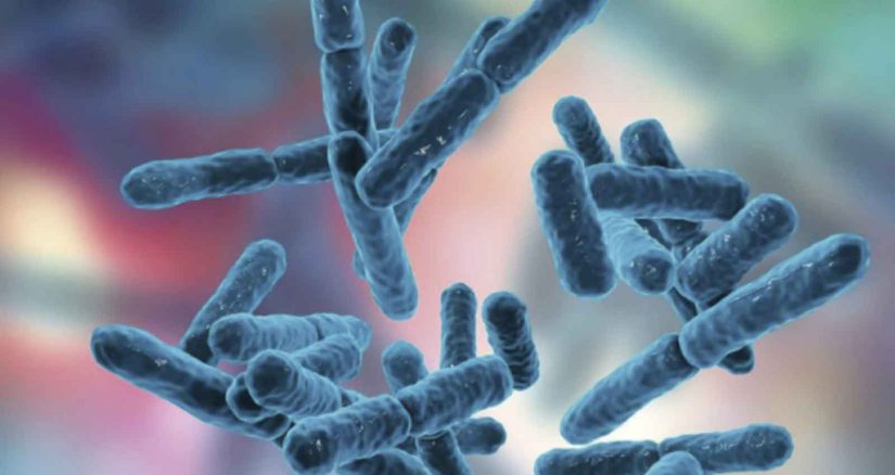 Bebidas que mejoran tu sistema inmune y evitan que te cojas una gripe 66 Merca2.es probióticos