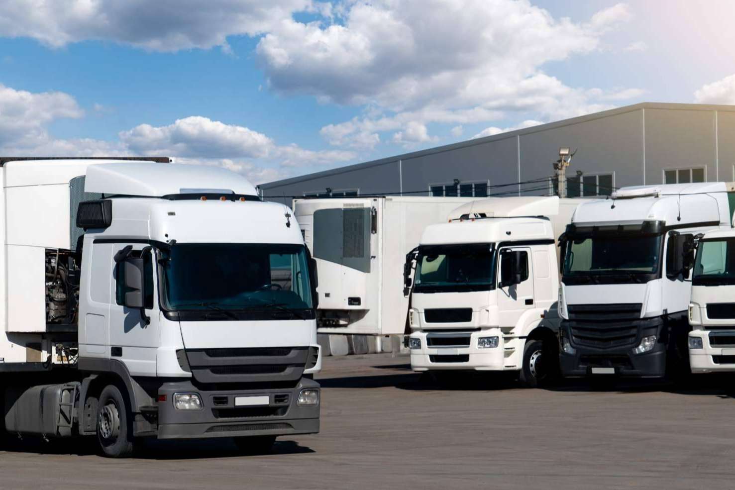 Dimensionamiento de flota y definición de rutas con una empresa con más de 15 años de trayectoria en el sector, WeMob