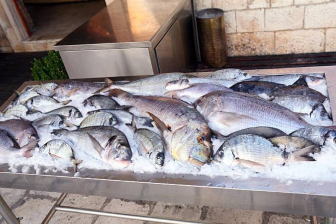 Cómo elegir la mejor 